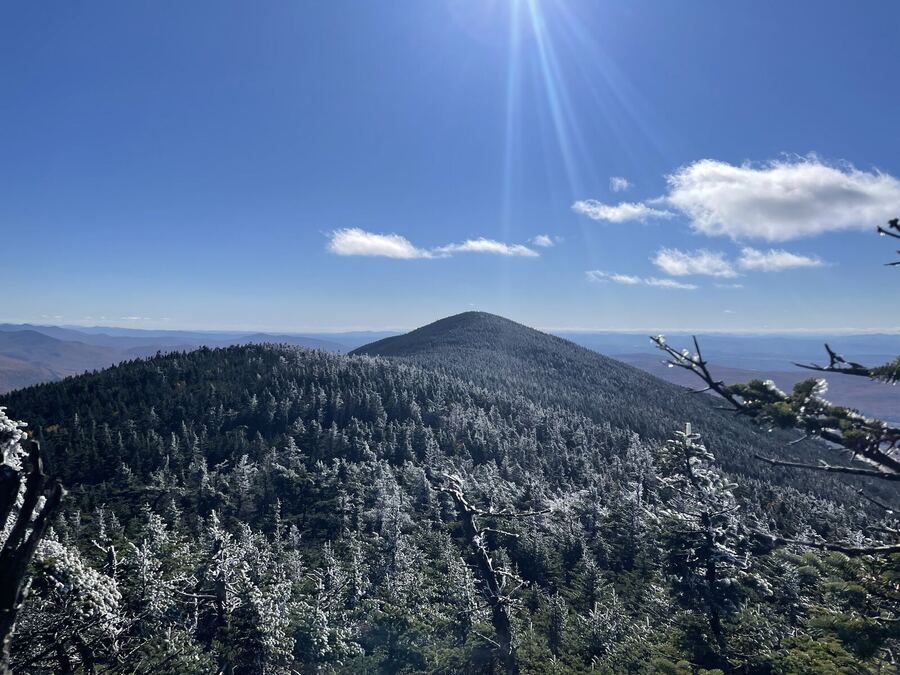 Frosted trees on a summit, sun rays over a distant rounded peak